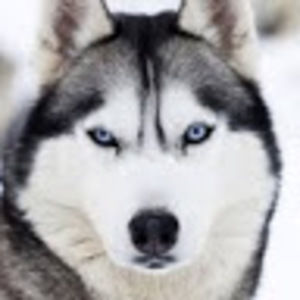 Meet your Posher, Pam